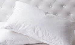 Duck Feather & Down Quilt 500GSM + Duck Feather And Down Pillows 2 Pack Combo Queen White -Home Luxe Store duck feather down quilt 500gsm duck feather and down pillows 2 pack combo queen white bedzy australia 944975